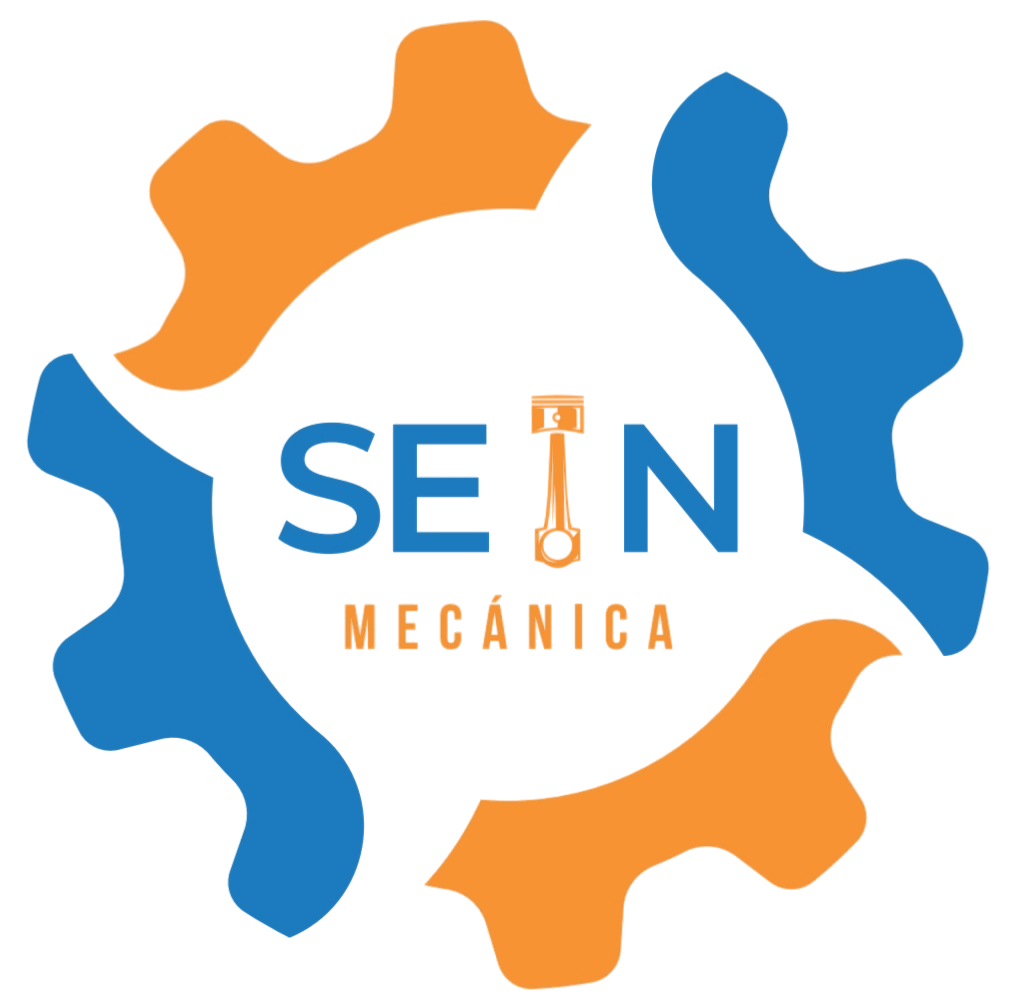 Sein Mecanica